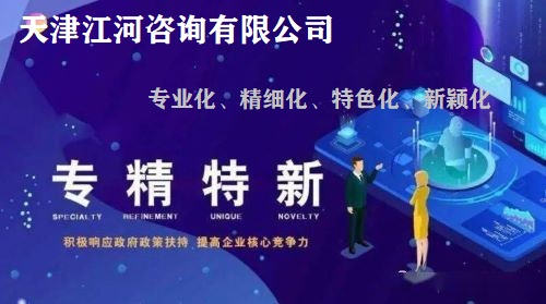 专精特新中小企业培育咨询(咨询服务)